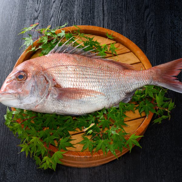 広島ギフト【長寿/敬老の日】縁起物には「鯛」絶品のおすすめ商品５選