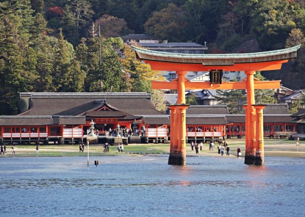 【動画あり】70年以上愛され続ける釜めし　～喜ばれる理由と簡単すぎる作り方～